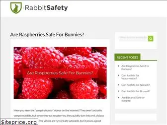 rabbitsafety.com