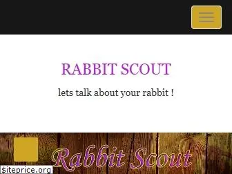 rabbitscout.com