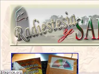 radiestesiaysalud.com