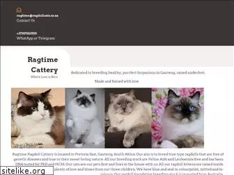 ragdollcats.co.za