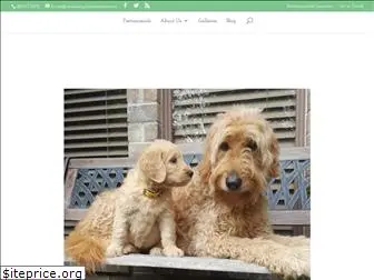 rainfieldgoldendoodles.com