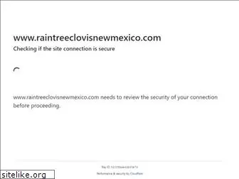 raintreeclovisnewmexico.com