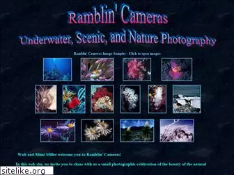 ramblincameras.com