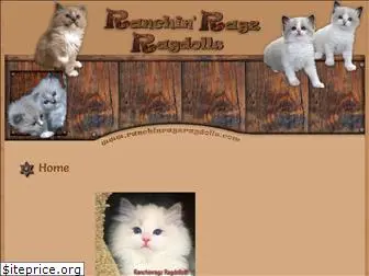 ranchinragzragdolls.com