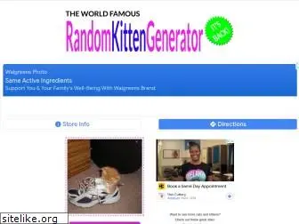 randomkittengenerator.com