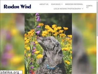 randomwindpoodles.com