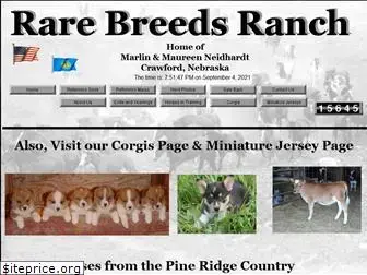 rarebreedsranch.net