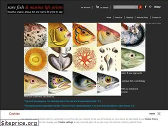 rarefishprints.com