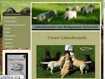 rassehundezucht.com