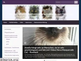 www.rassekatzen-im-tierheim.de