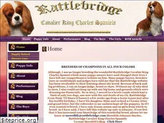 rattlebridge.com