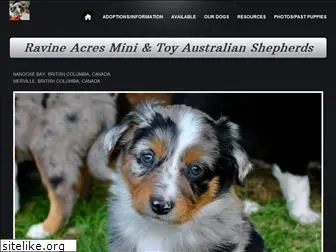 ravineacresminiaussies.com