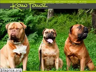 rawpawz.nz