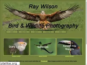 raywilsonbirdphotography.co.uk