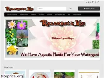 razorbackkoi.com