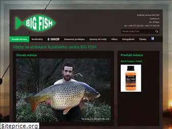 rc-bigfish.cz