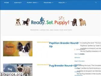 readysetpuppy.com