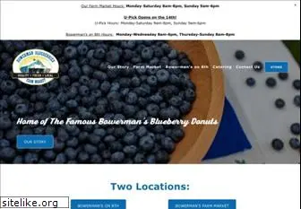 realblueberries.com