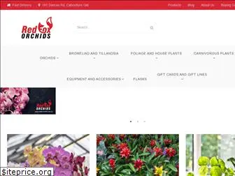 redfoxorchids.com.au