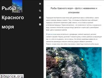 redseafoto.ru