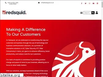 redsquid.co.uk