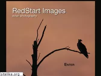 redstartimages.com