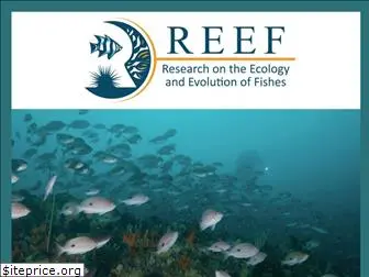 reef.edu.au