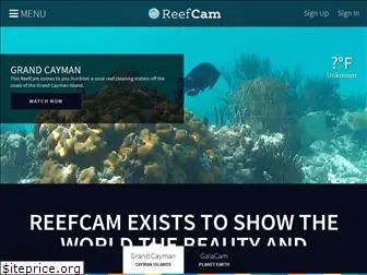 reefcam.tv