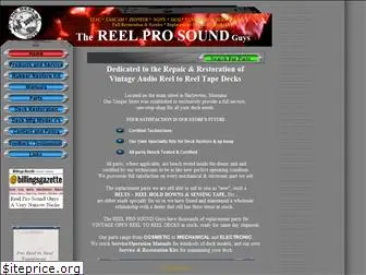 reelprosoundguys.com