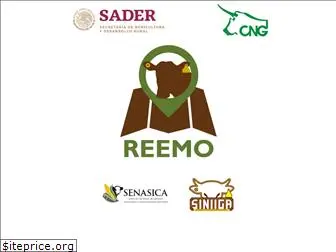 reemo.org.mx