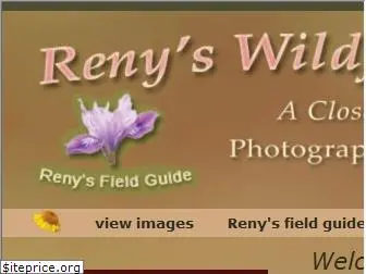 renyswildflowers.com