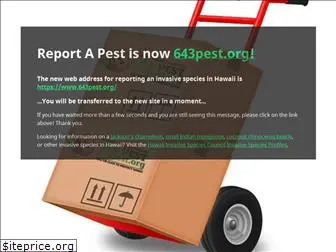 reportapest.org
