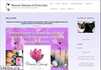 rescuesiamese.com