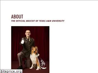 reveille.tamu.edu