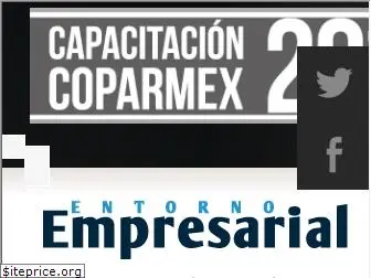 revistaentornoempresarial.com