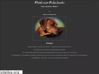 rhodesian-ridgeback-foto.de