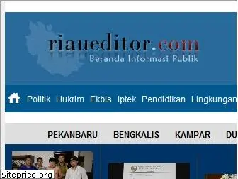 riaueditor.com