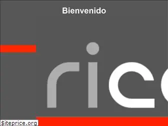 riccetti.com.mx