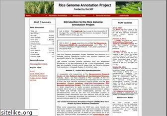 rice.plantbiology.msu.edu
