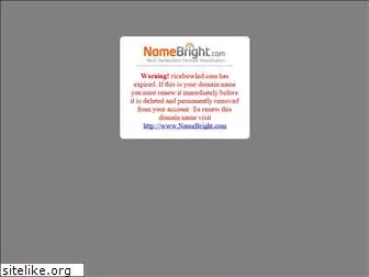 ricebowlnd.com