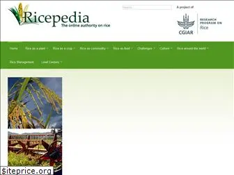 ricepedia.org