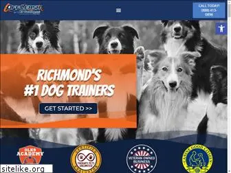 richmondvadogtraining.com