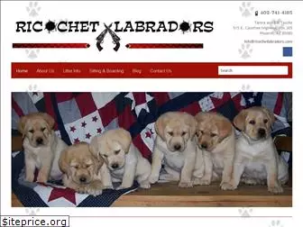 ricochetlabradors.com