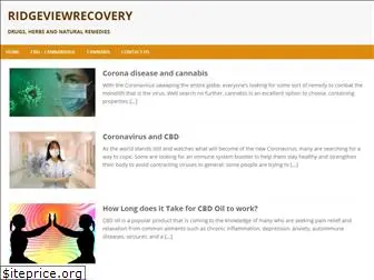 ridgeviewrecovery.com