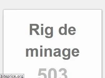 rigdeminage.com