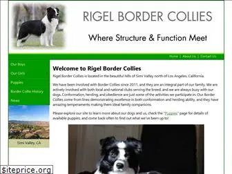 rigelbordercollies.com