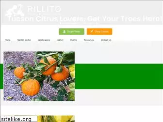 rillitonursery.com