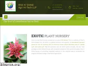 risenshineplantnursery.in