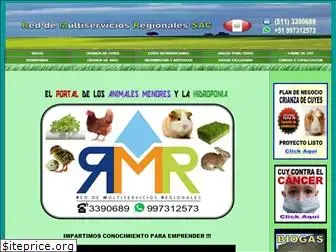 rmr-peru.com