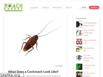 roachexpert.com